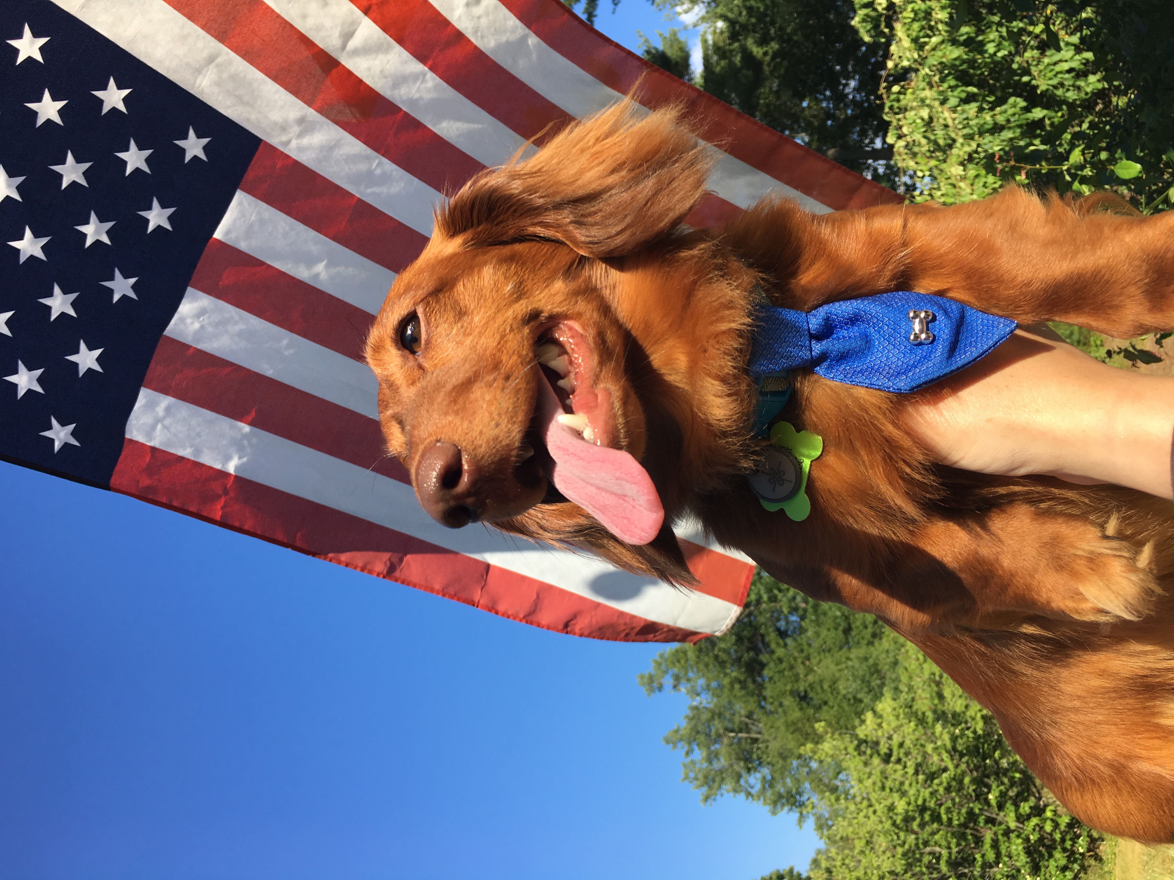 Patriotic scene with American flag