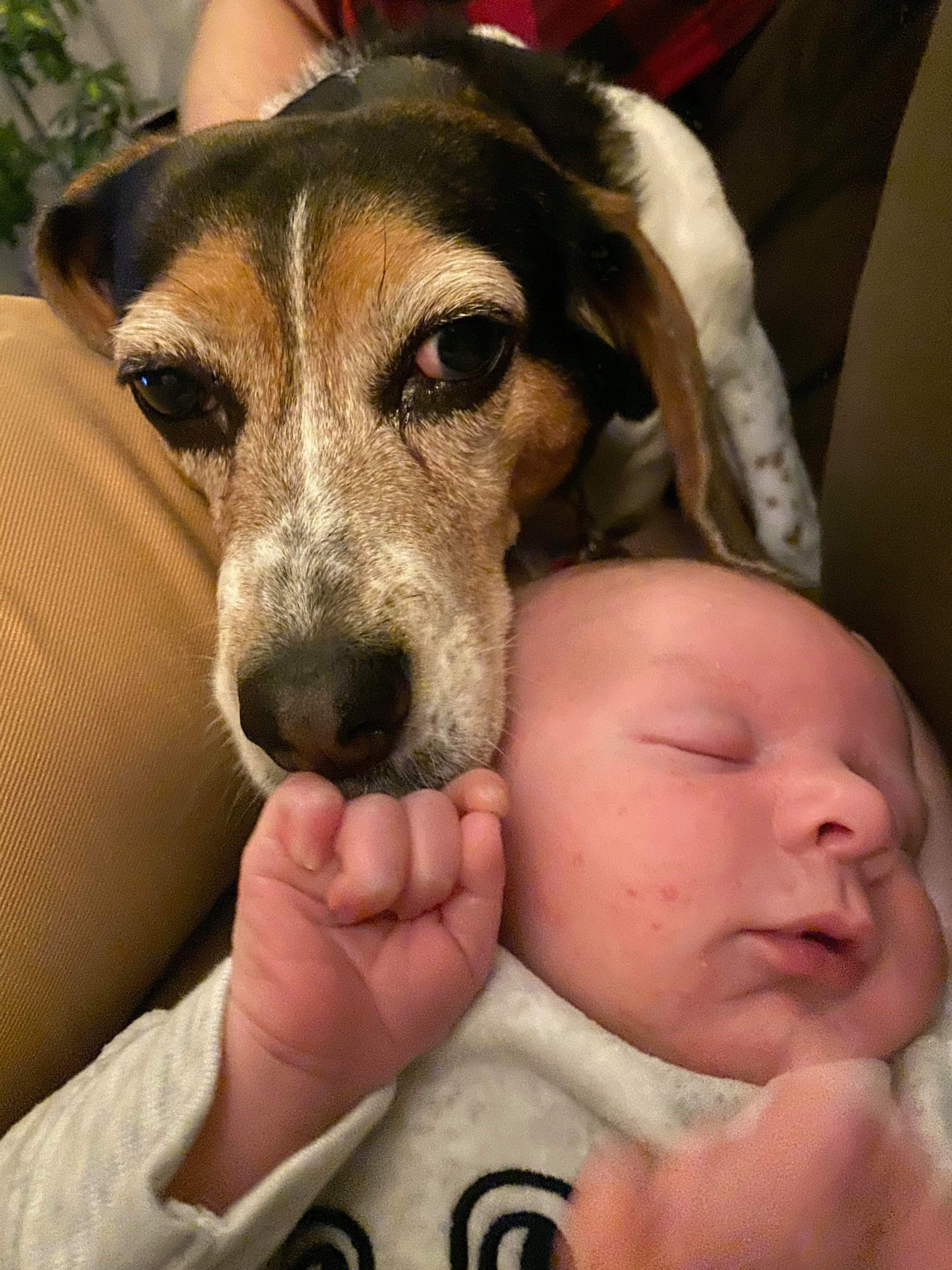 Family moment at home in Milford