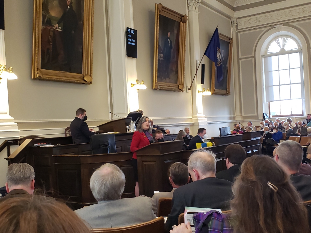 Rep. Diane Pauer at the State House