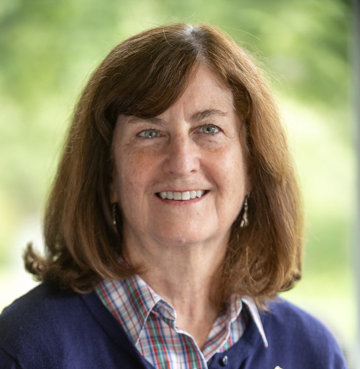 Diane Layton, Republican candidate for State Representative in Amherst, NH