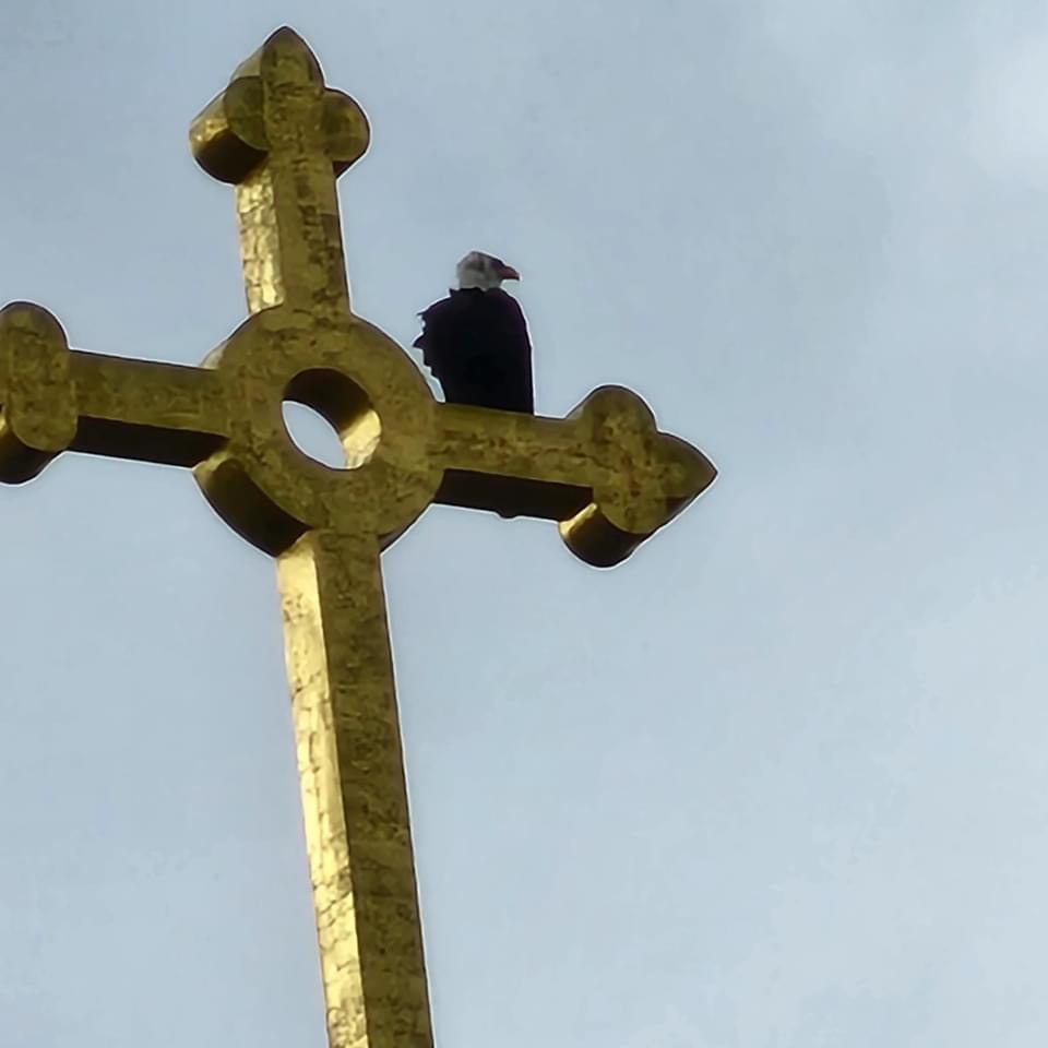 Pierre Dupont in the community