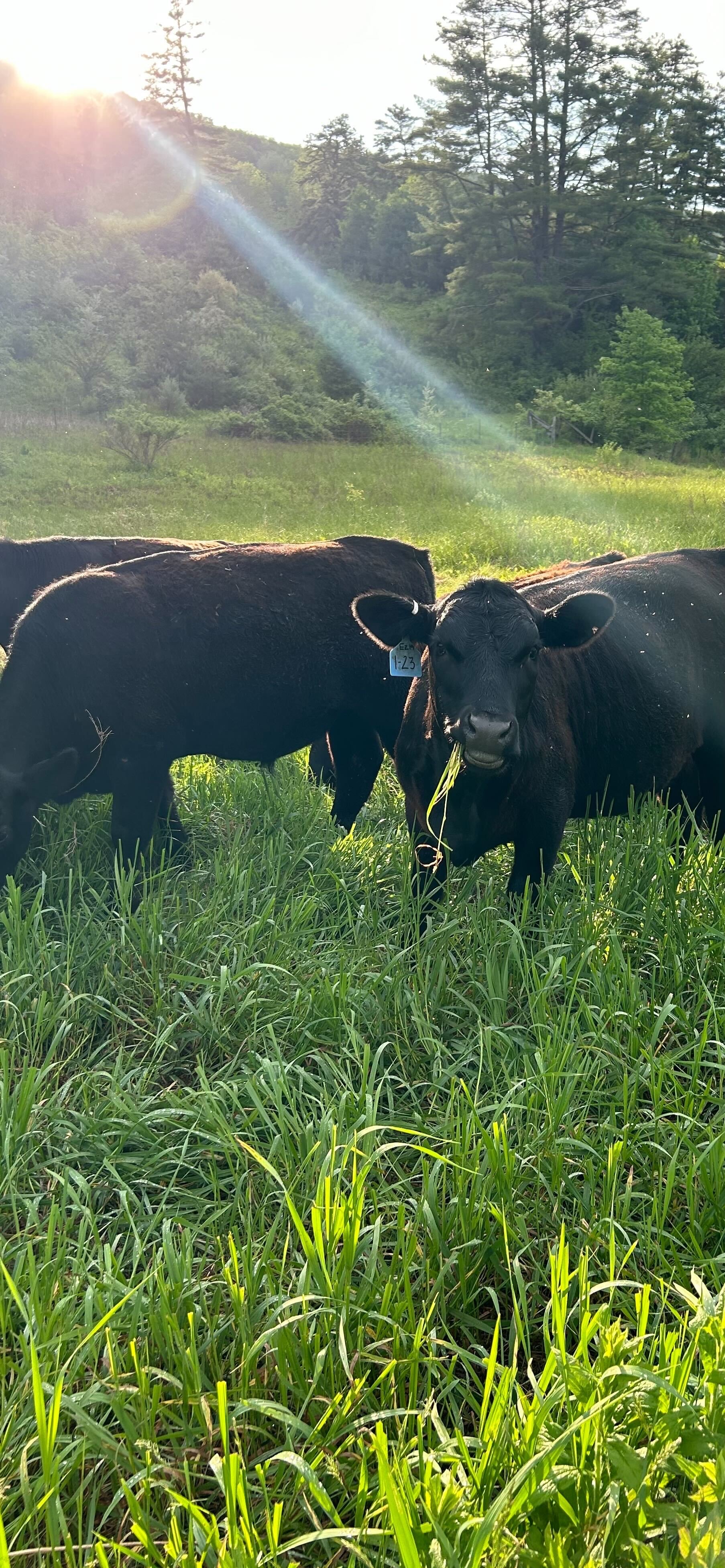 Brad in the community