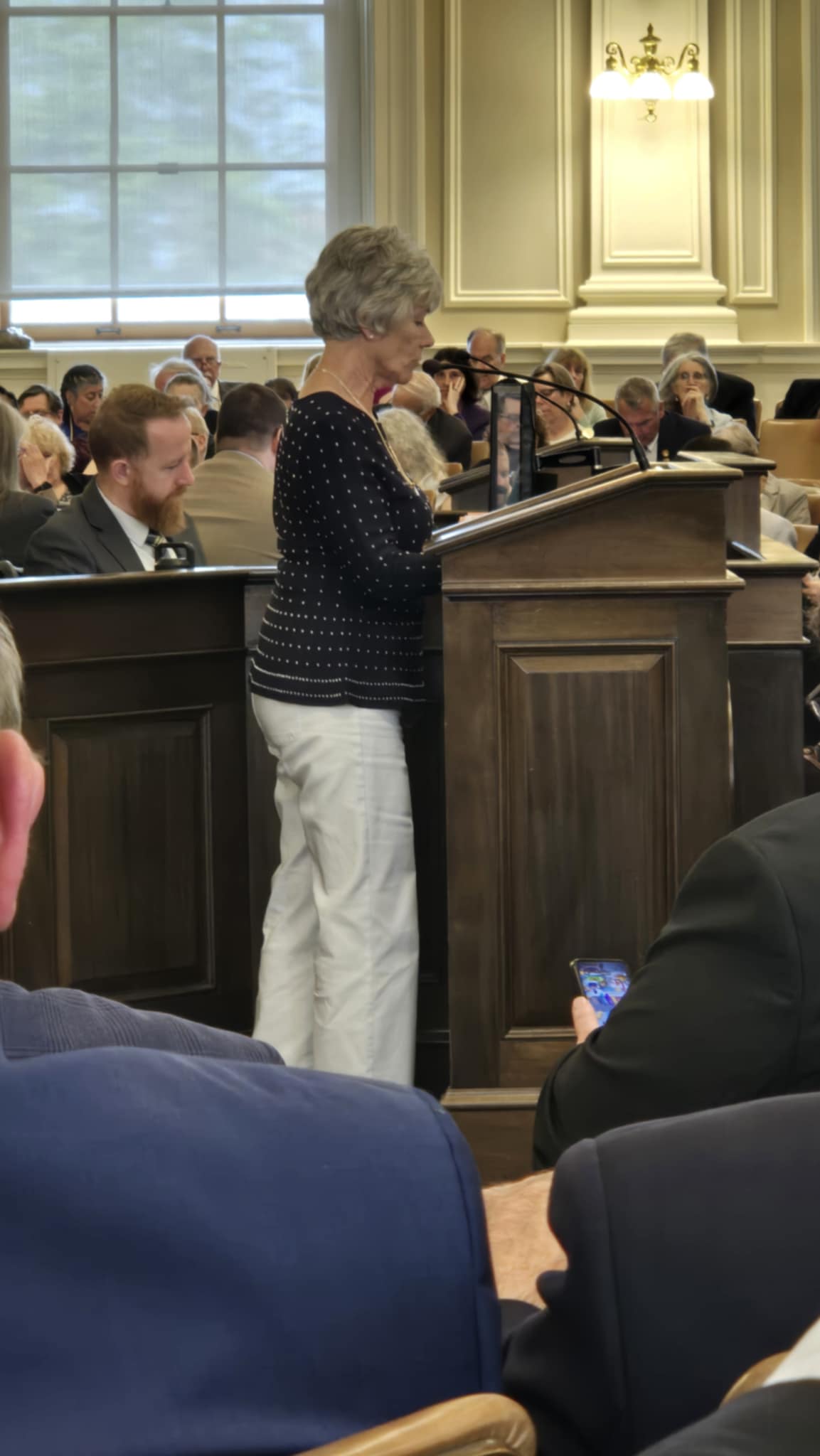Susan DeRoy speaking at the New Hampshire State House