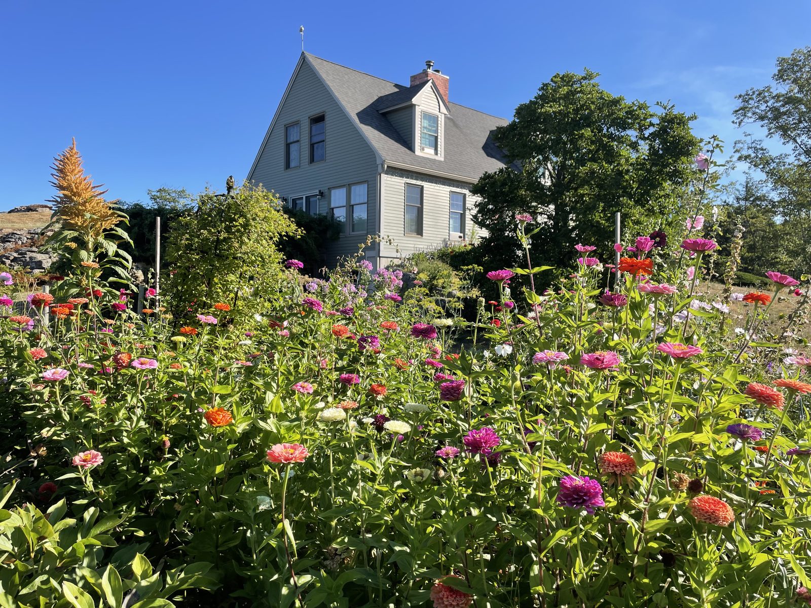 Epsom farmhouse and garden