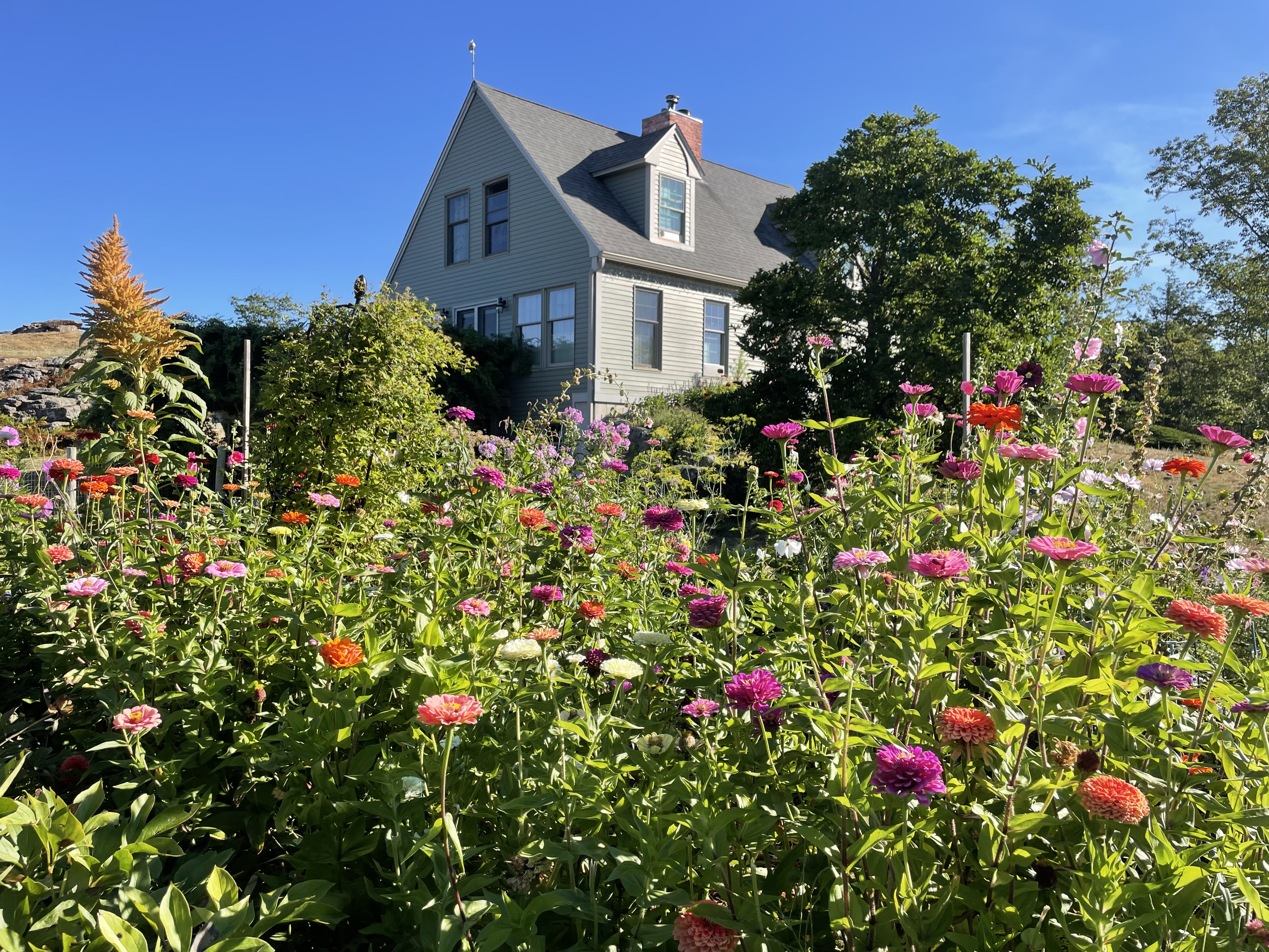 Epsom farmhouse and garden